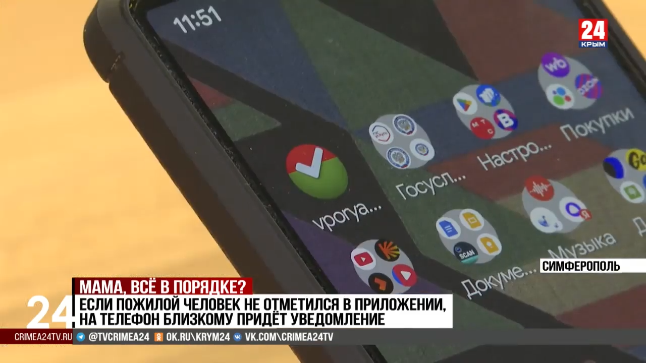 Сюжет о проекте В порядке 24